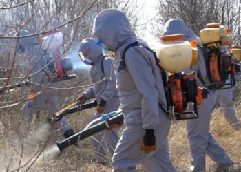 Семейде масалармен күреске үш миллион теңге қарастырылған