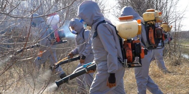 Семейде масалармен күреске үш миллион теңге қарастырылған