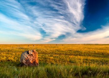 Земля — богатство народа