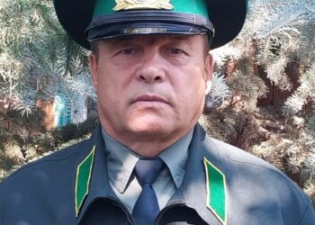 20 лет в лесном хозяйстве