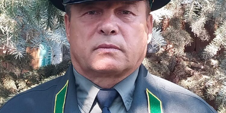 20 лет в лесном хозяйстве