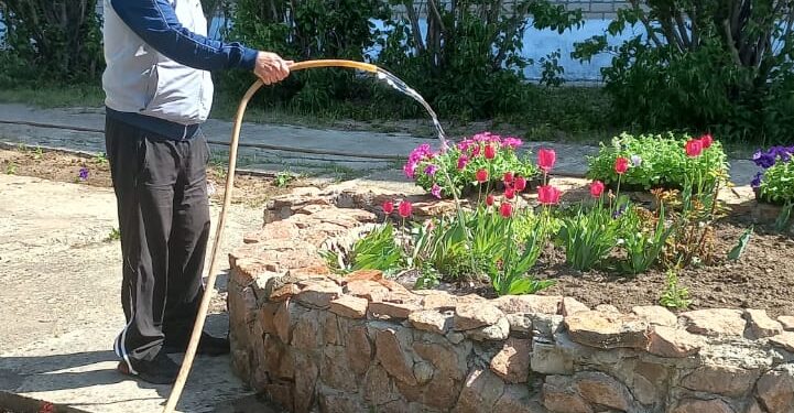 БАУ-БАҚША –  БЕРЕКЕ БАСТАУЫ