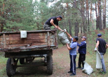 Сенбілік – тазалық таразысы