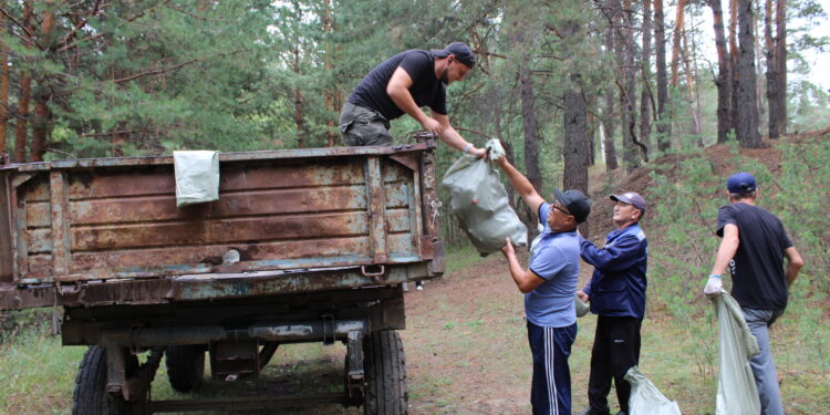 Сенбілік – тазалық таразысы
