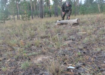 Биотехникалық шаралар және олардың бағыттары