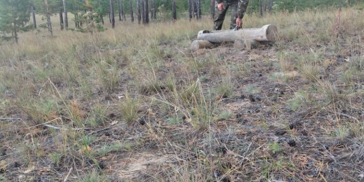 Биотехникалық шаралар және олардың бағыттары