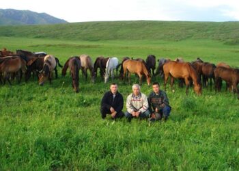 Адал еңбек – әулеттің бойтұмары