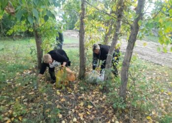 Тазалық — басты байлық