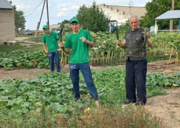 помощники в зеленых футболках