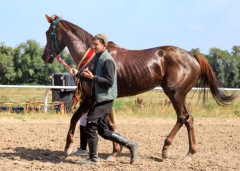 Королева Спринта на Ипподроме Алматы!