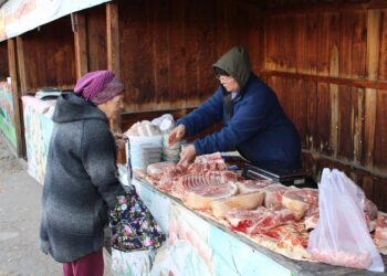 Сельскохозяйственная ярмарка  в селе Бородулиха