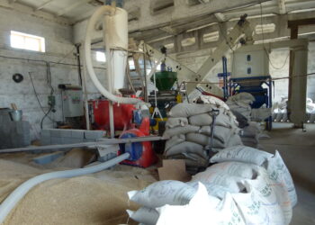 Новаторство в производстве комбикорма