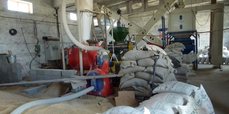 Новаторство в производстве комбикорма