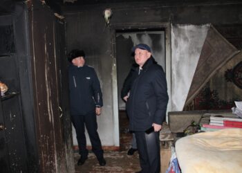 Выплаты семьям,  пострадавшим вследствие пожара