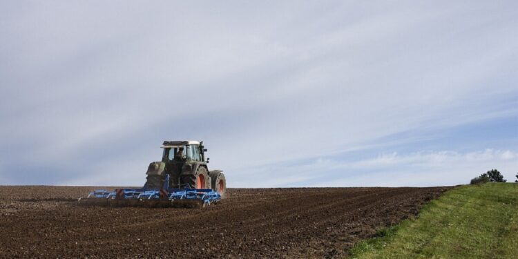 Дала жұмыстарына дайындық жүргізілуде
