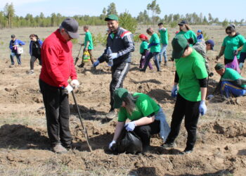 Сохраняем реликтовый бор вместе