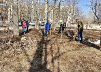 Стартовала экологическая акция