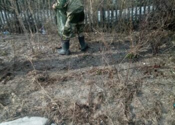 Совместные усилия  в благоустройстве округа