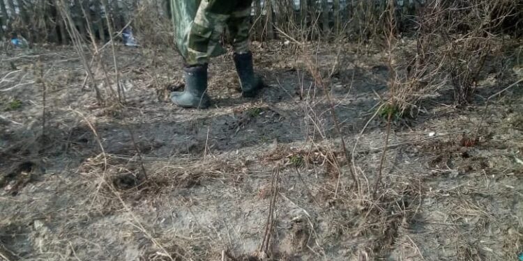 Совместные усилия в благоустройстве округа