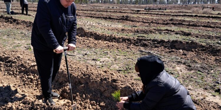Бородулихинский район принял участие  во Всемирном дне по посадке деревьев