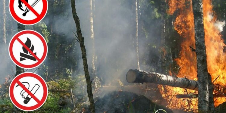 Правила пожарной безопасности на отдыхе на природе