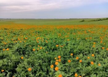 Таврический сельский округ: хроника времени