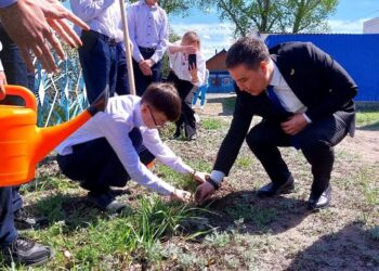 Выпускники Бородулихинского района оставили свой зеленый след