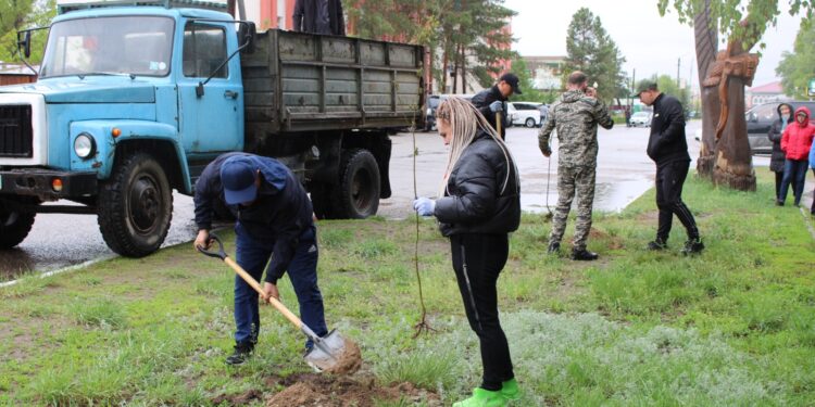 Посажено более 1000 саженцев деревьев