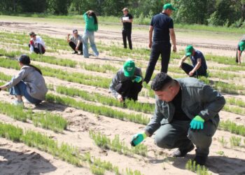 В Бородулихинском районе открыли новый сезон “Жасыл ел”