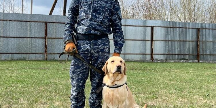 Наркотики: тихая угроза району