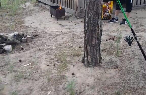 Привлечение к ответственности