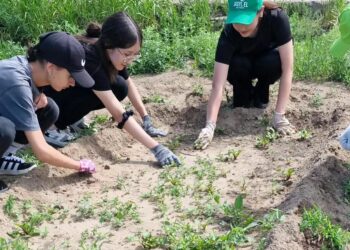 «Жасыл Ел» в Бородулихинском центре оказания специальных социальных услуг