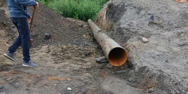 Дорога к пастбищам восстановлена!