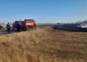 Административная ответственность за несанкционированные отжиги