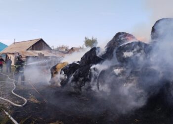 Штрафы и ответственность: в Бородулихинском районе усилены меры по пожарной безопасности