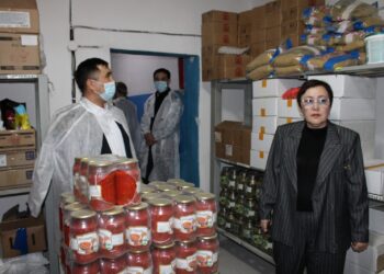 Развитие социальной сферы и новые перспективы