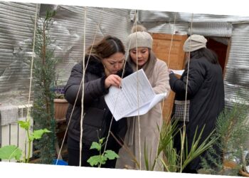 Қаржының мақсатты пайдаланылуы – бақылауда