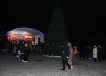 Главная елка района засияла огнями