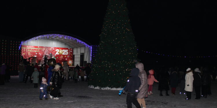 Главная елка района засияла огнями