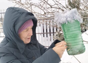 Акция «Покормите птиц зимой»