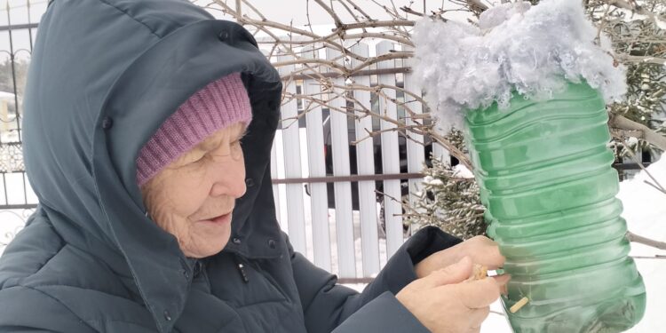 Акция  «Покормите птиц зимой»