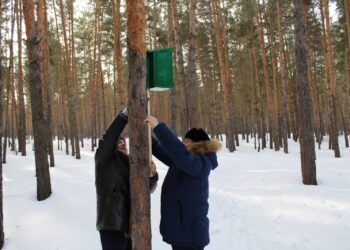 Орман қоры – ұлттық байлығымыз