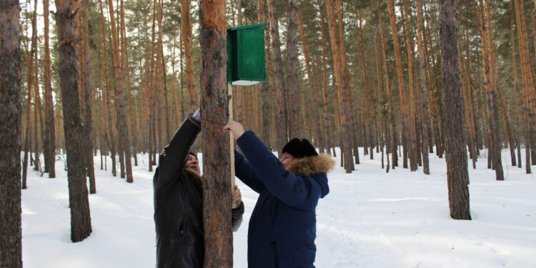 Орман қоры – ұлттық байлығымыз