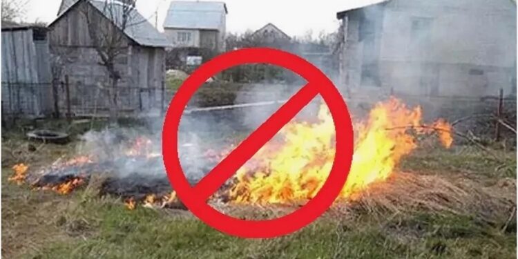 Правила и требования предъявляются к месту разведения костра