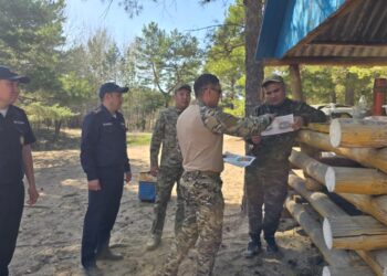 Уважаемые жители и гости Бородулихинского района!