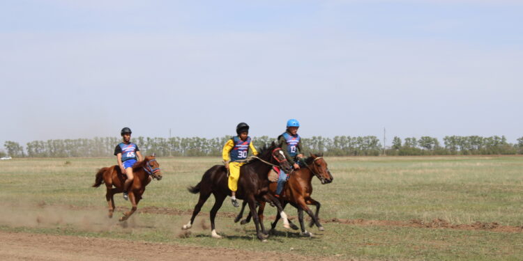 Праздник силы, памяти и традиций