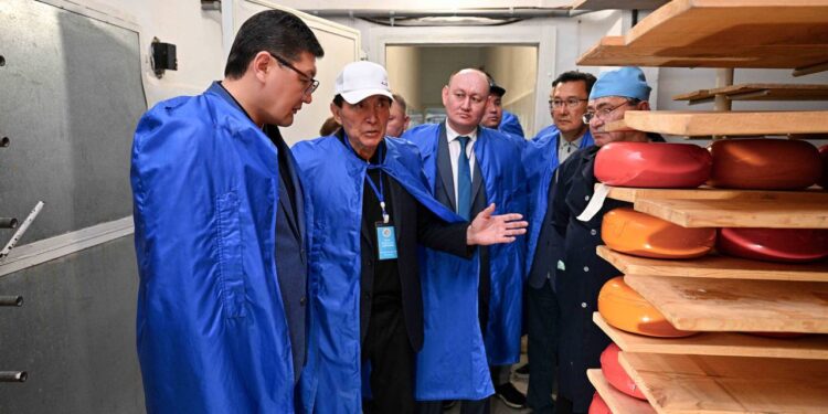 Бородулихадағы  берекелі істер