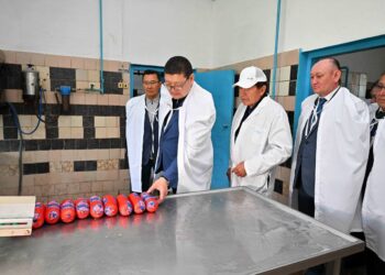 Развитие, ориентированное на будущее