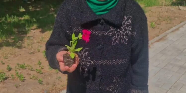 Формируем экологическую культуру