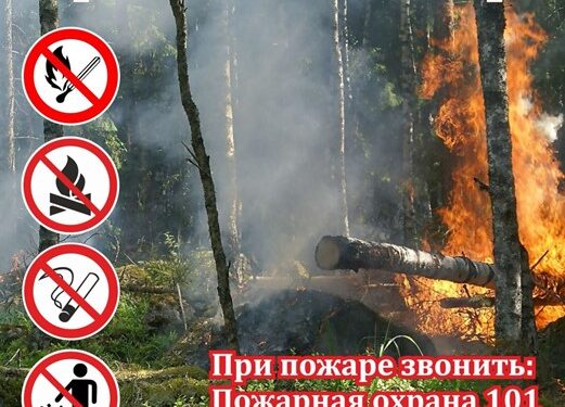 Правила пожарной безопасности на отдыхе на природе
